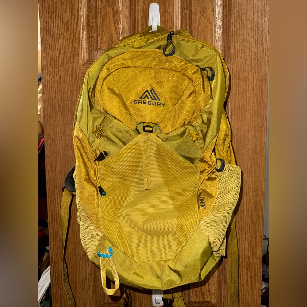 Gregory Juno 24 Backpack in Mineral Yellow